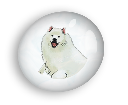 Dog in Water Droplet