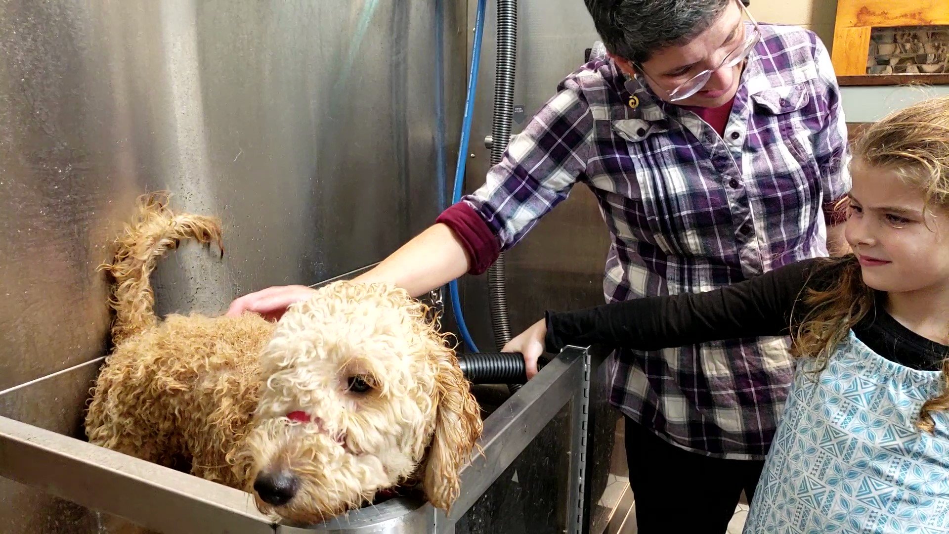 A woman and girl blowdrying their dog at Wagging Tails Dog Wash